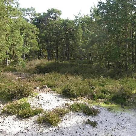 Hejrevej Nexo V Spidsegård