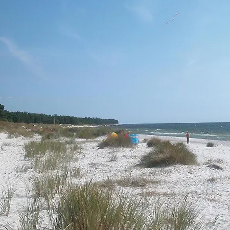 Hejrevej Nexo V